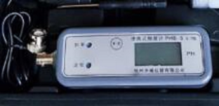 便携式PH计/PH值测定仪 型号 ZXPHB-5库号 M188917
