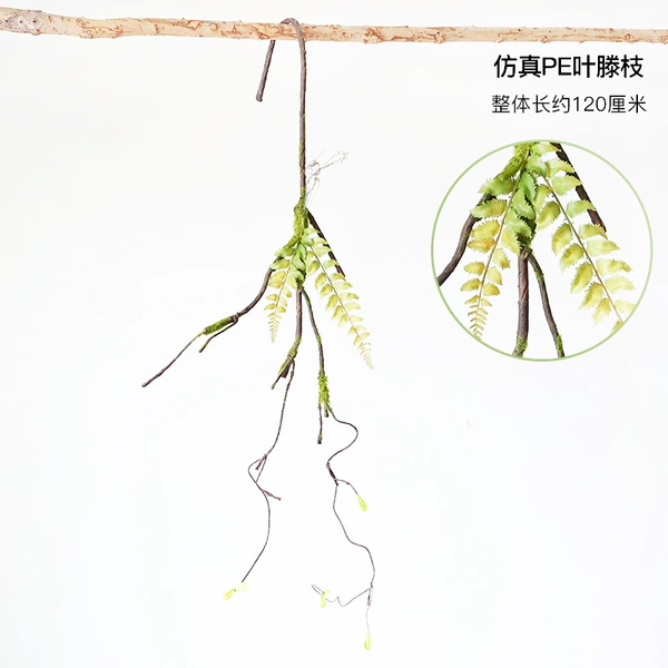 Simulated PE leaf vine branches