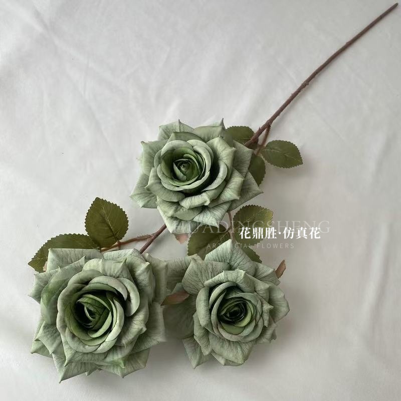 녹색