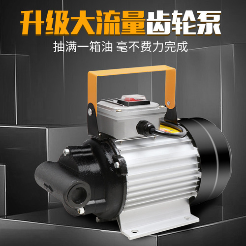 Manufacturer Direct Sales Portable Gear Pump Mini Diesel Hydraulic Oil Pump 24V 220V High Viscosity Electric Oil Extractor