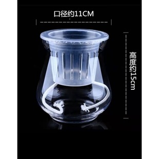 Hydroponic Glass Vase Guanyin Bamboo Cactus Golden Ge Fish Tank Wax Gourd Utensils Transparent Home Desktop Bedroom Guest
