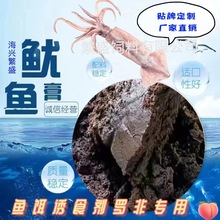 ���~�����\����u���ˮ�uСș�D����ϼ��_�����Tʳ�������~�|�~