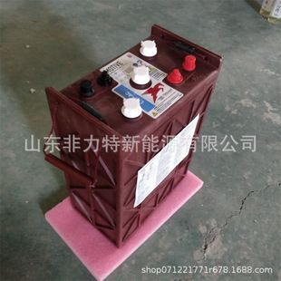 ����TROJAN��L16P-AC 6V420AHϴ�ؙC�ߠ�����܇ ��늳�