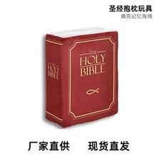 羳Ʒ ʥ BIBLE PILLOWʥ ëż