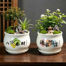 中古风花盆陶瓷室内家用带孔托盘一体绿植长寿花蝴蝶兰马上有钱盆