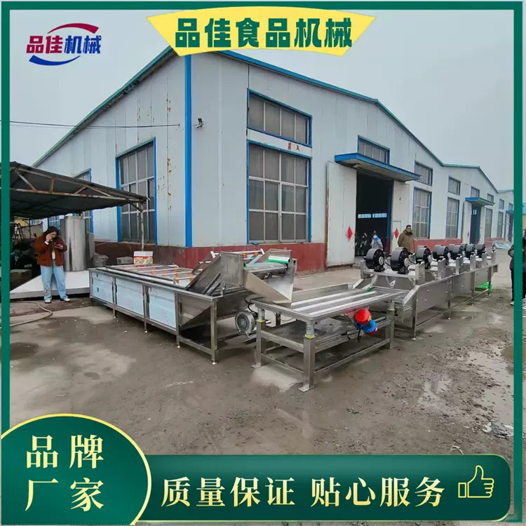 佳品牌 大型食用菌菜清洗沥水风干线设备 全自动蔬菜菇菜清洗机