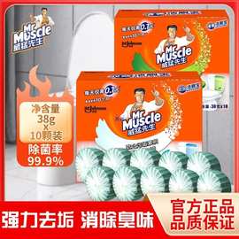 洁厕块卫生间洁厕宝蓝泡泡厕所水箱柠檬除臭去异味清香型