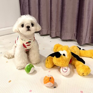 Original Pet Teething and Chewing Bb Cute Puppy Dog ​​Shape Elastic Ball Sound Toy Thorn Ball Teddy Export