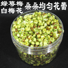 梅花新花绿萼梅白梅花茶 50克绿鄂梅干花白梅花玫瑰茶