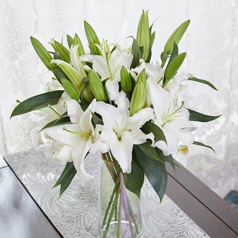 玫瑰花鲜花云南昆地批直发百合向日葵红豆家用鲜切水养插绢花|undefined