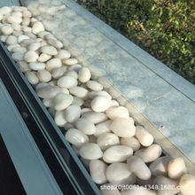 特级人工甄选白色鹅卵石厂家供应庭院铺路盆栽铺面鱼缸造景