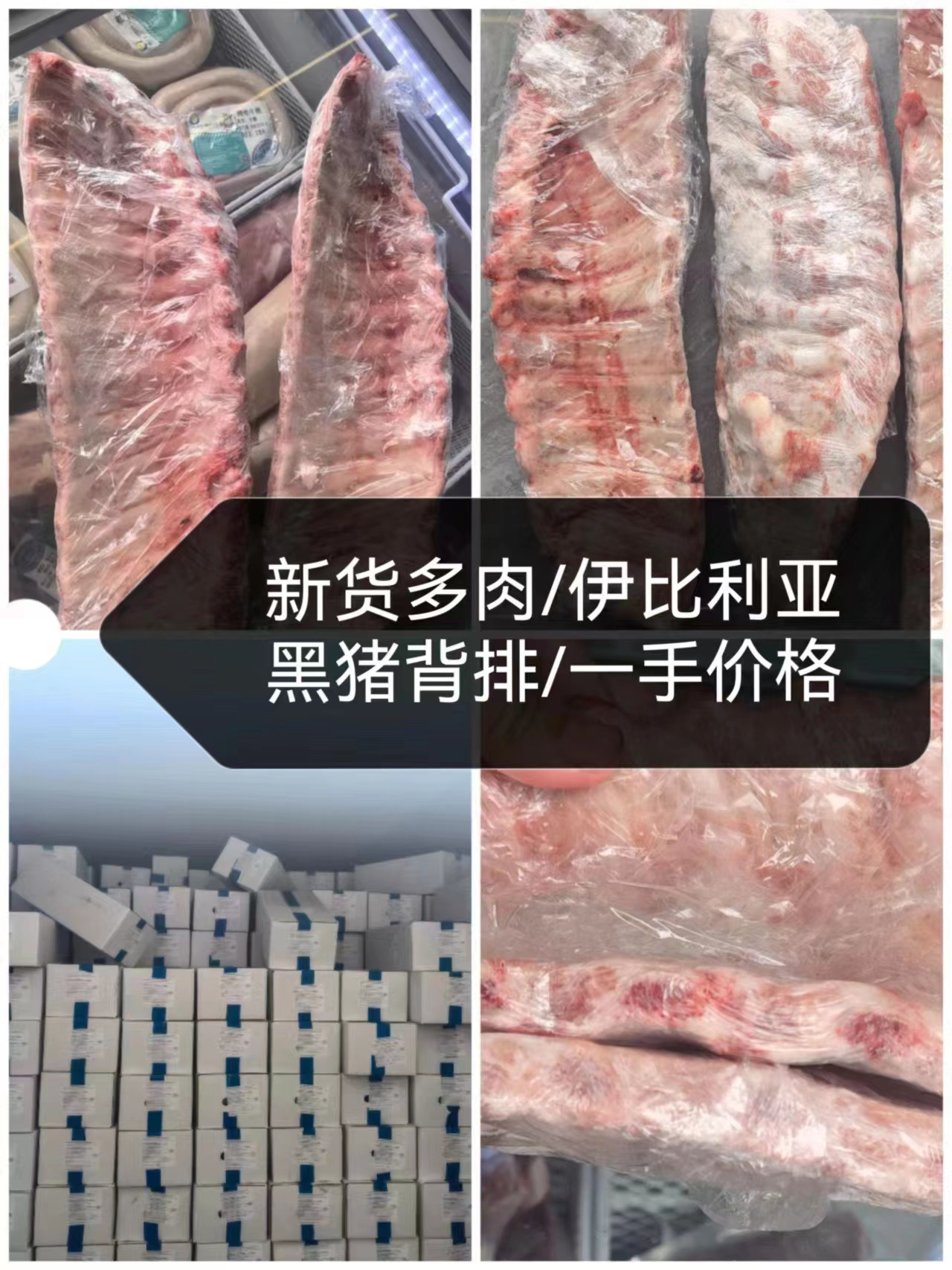 微信图片_20230921170838