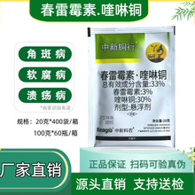 33%��������~�S�ϼ����Խǰ߲��rș����������ù�� ����~ͪ