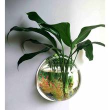 水培金钱发财树绿植园艺仿真花卉常青藤水养盆栽亚克力花瓶绿萝