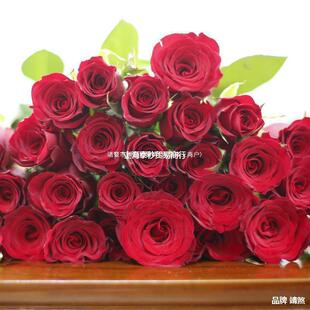�r�л�����ˮ�B�ٺϻ��r��õ�廨�����տ���ͥ�������ֱ��ֱ�l��