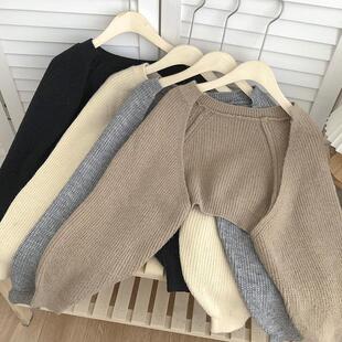 2026���n���OӋ�Ќ����@�ݼ�ɫë��ᘿ������L�����ë�¶�����