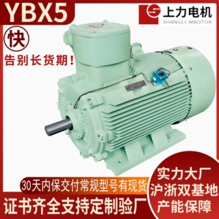 炼油厂YB2换新上力YBX5-80M2-4 0.75kW千瓦防爆电机防爆证节能证