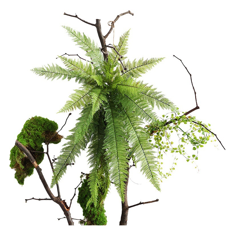 Simulation Feel Fern Persian Grass Home Wedding Landscaping Decoration Plant Wall Matching Green Plants