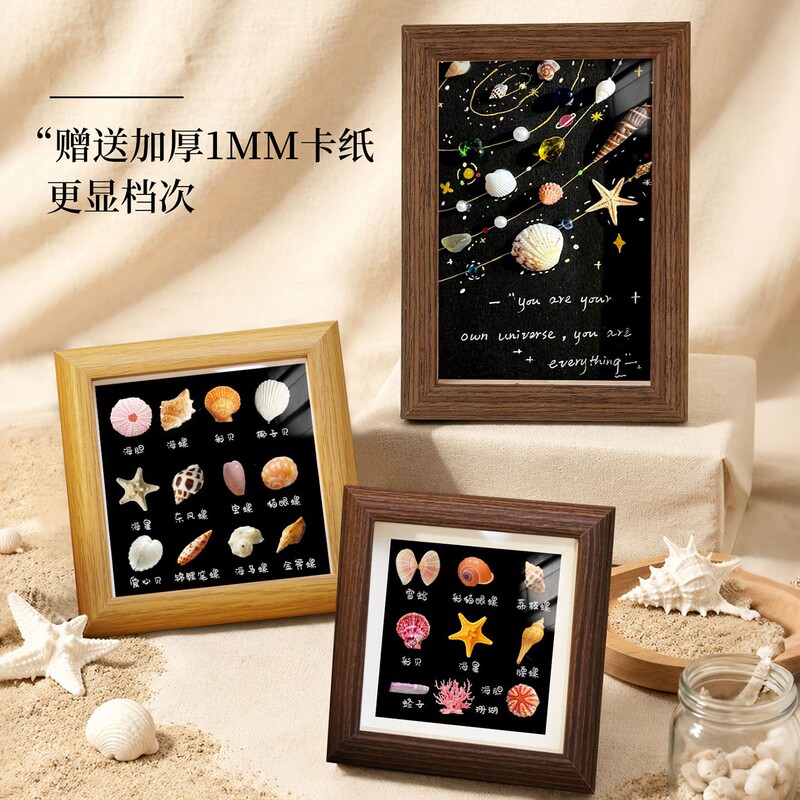 Creative natural shell and starfish specimen picture frame, three-dimensional decorative ornament, cultural and creative gift, commemorative empty frame wholesale Creative natural shell and starfish specimen picture frame, three-dimensional decorative ornament, cultural and creative gift, commemorative empty frame wholesale