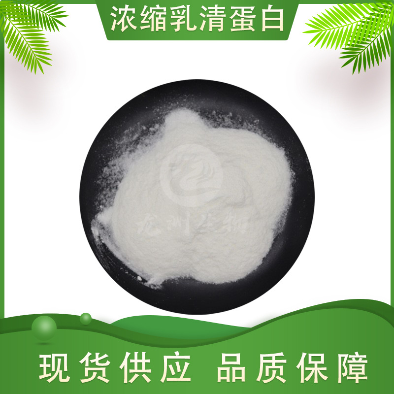浓缩乳清蛋白 食品级原料 营养强化剂 龙洲生物 量大从优 包邮