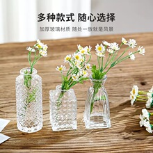 С��ƿ����ܛ�b�Ʒ�[��ins�L ������ƿ��c�ҾӲ廨��ˮ��ֲ��ƿ