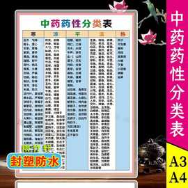 中药药性分类表宣传画装饰画手拿塑封学习卡印制图片A4A3