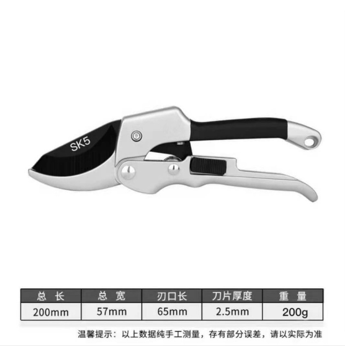 微信图片_20250626153749