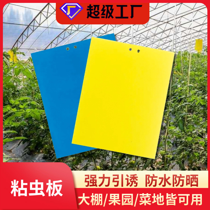 Insect Sticky Trap Yellow Board Double-Sided Insect Trap Board Blue Board Insect Extermination Board Fruit Fly Thrips Trap Agricultural Greenhouse Insect Catching Sticker