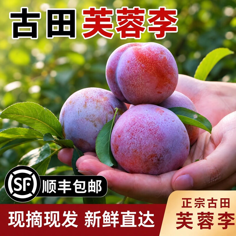 [SF Express Free Shipping] Freshly Picked Fujian Hufeng Plums, Red Heart Plums, Sweet and Crispy, Delicious Fruit for Pregnant Women