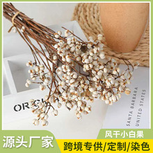 С�׹������ݞ�����׶� �ɻ�diy���ϰ����Ĕ[�����������ɻ����l