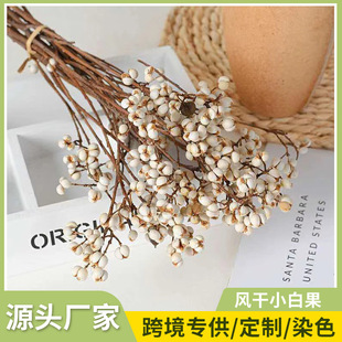 С�׹������ݞ�����׶� �ɻ�diy���ϰ����Ĕ[�����������ɻ����l