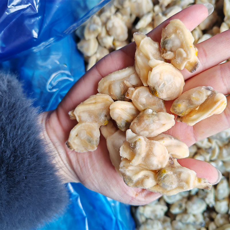 蛤蜊肉无沙花甲肉文蛤贝壳肉嘎啦肉海产无沙黄蚬子凉拌即食蛤蜊肉