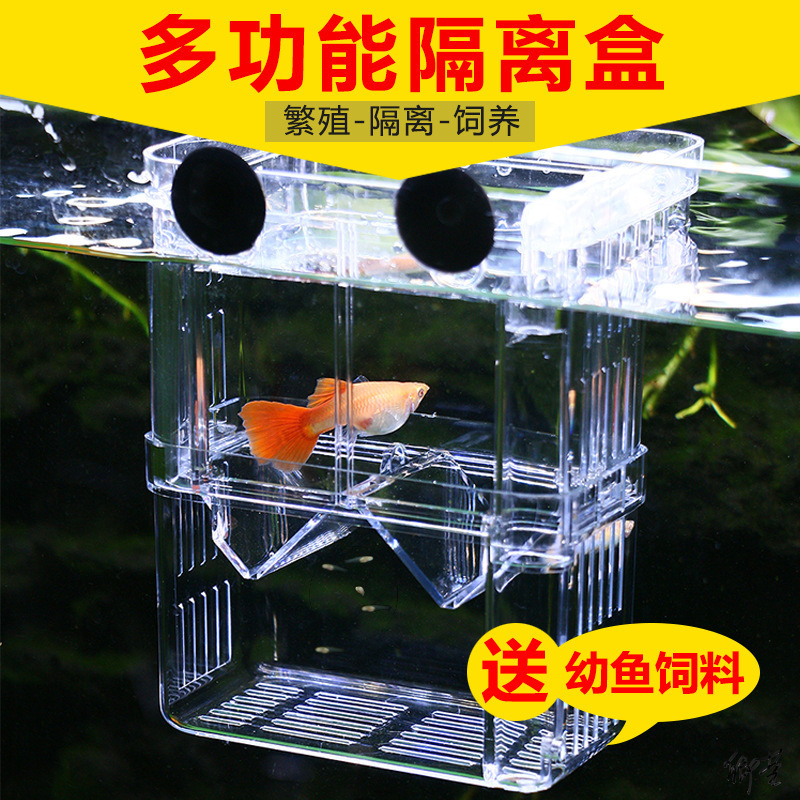 Fish Tank Acrylic Fry Nursery Fish Eggs Floating Fry Activity Pneumatic Suspended Aquarium Incubation Box