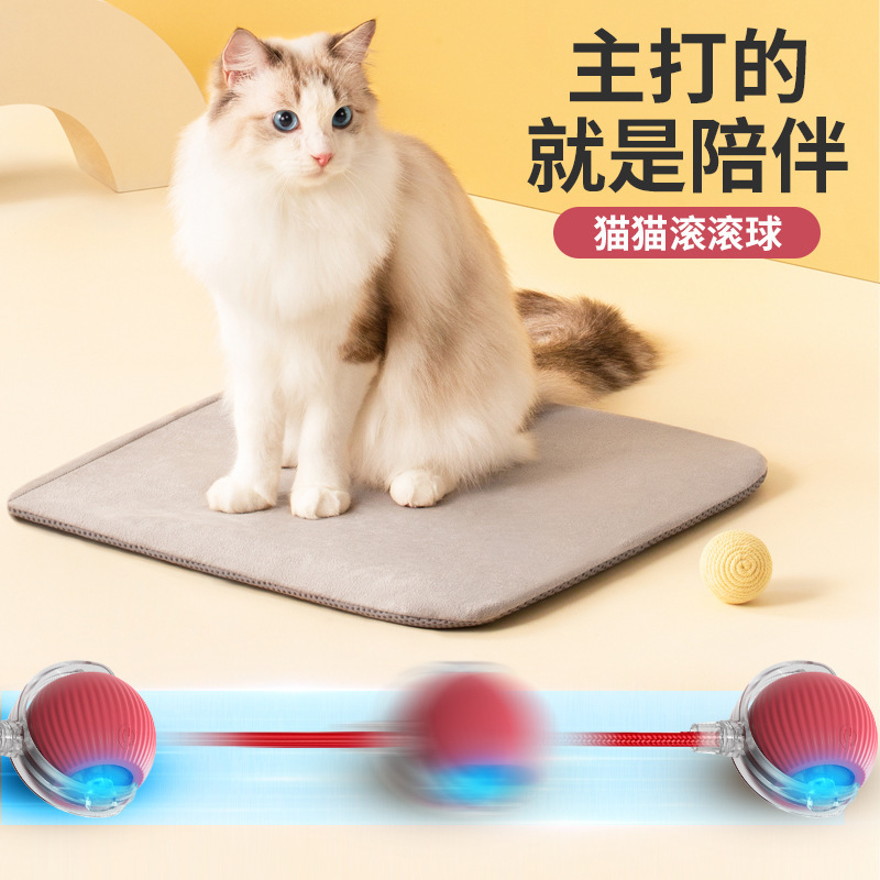 国境を越えた噛みつきにくい自動猫おもちゃボール、猫のおもちゃボール、退屈を和らげるロープ付きペット用品ジャンプボール|undefined