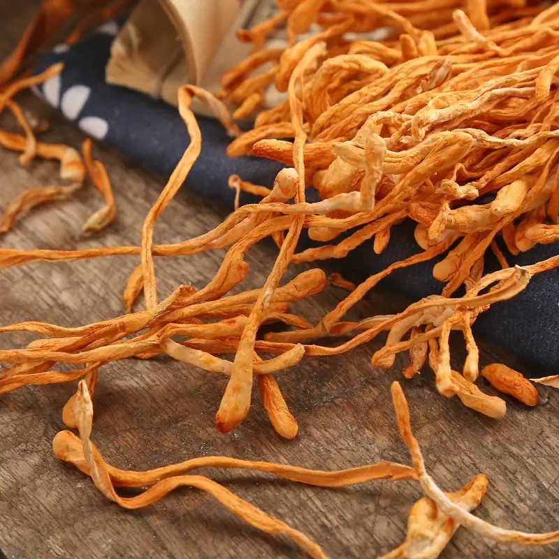 Cordyceps Flower Chong Cao Hua Dried Cordyceps Militaris Fruiting Bodies 500g for Soup and Tea specifications