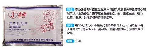 Gold dripping yellow powder Gold dripping fish aquarium ornamental fish congested white spots rotten gills and tail descaling sterilized Japanese yellow powder