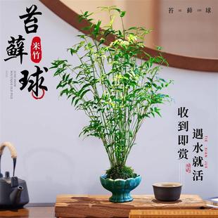 ̦\҃ȲUֲʽˮBӃ՚^