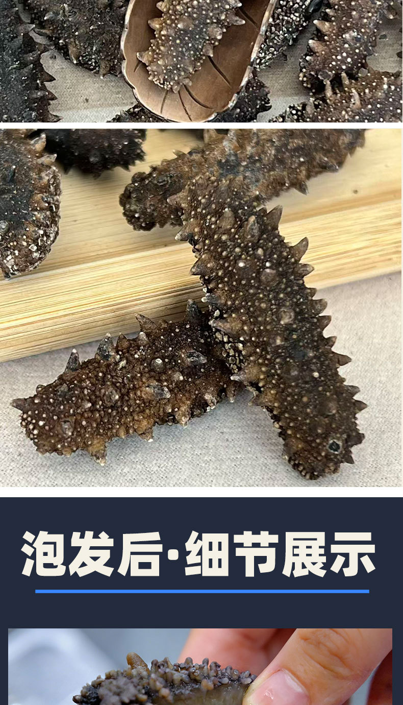 Dried Sea Cucumber Pure Lightly Dried Dalian Sea Cucumber Thick Flesh 50g quality and texture