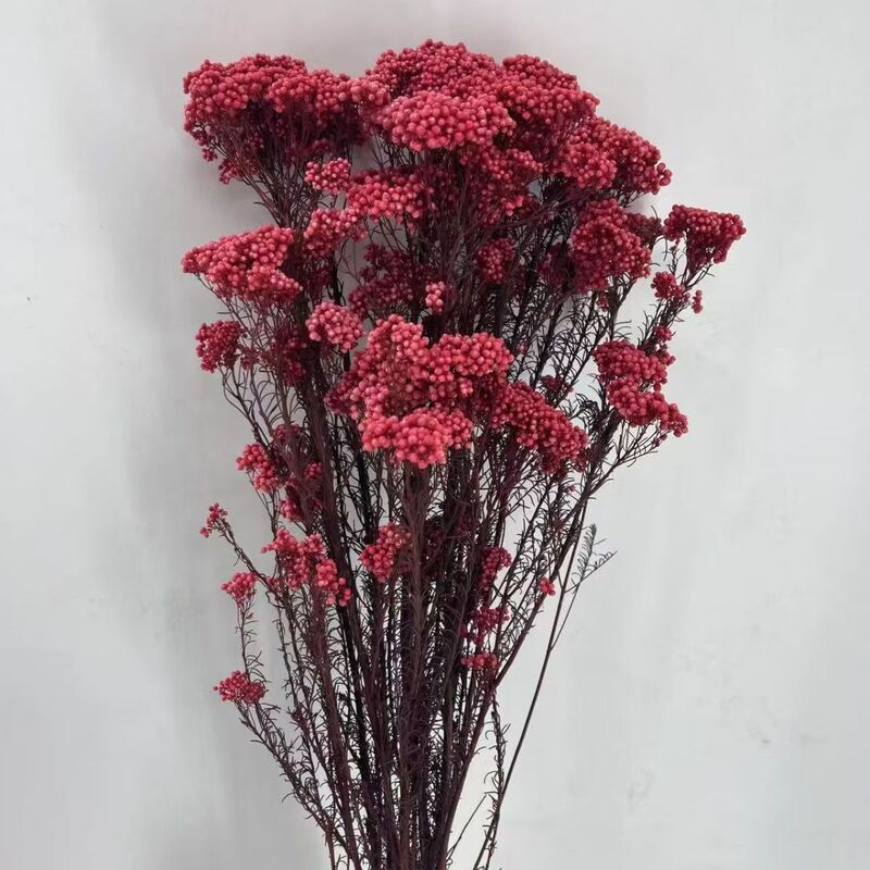 Yunnan straight hair everlasting flower millet flower decoration bouquet diy flower material home decoration factory in stock wholesale