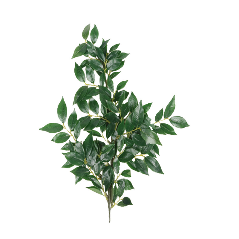 XRB-184 赤楠叶四叉枝110叶1.jpg