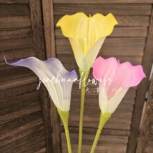 EVA�ָ��R��ɏ �ҾӾƵ���������b�c��Y�ò廨���յ��߼ٻ�