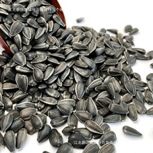 ��������С��������Ϳ������P�W�^�Bʳ�}����ʳ�B�Z���Z5����]