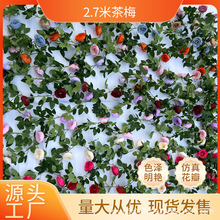 ���滨2.7�ײ�÷�W˹���_��õ�廨�ټҾ��bƵ�͏d�̈���c