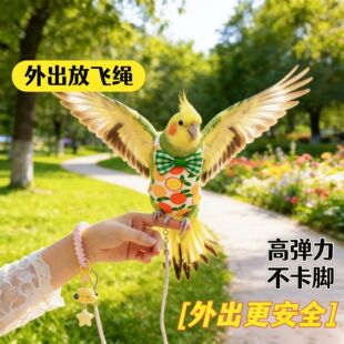 �����W�^�w���·�ĵ��С̫��B���B�����K�·������b��С����Ʒ