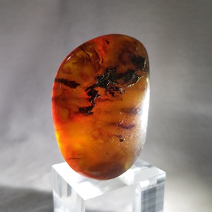 Shirui Ji Billion Years Pure Natural Brown Amber Brown Pepper Natural Jewelry Raw Material Amber Classy Gift
