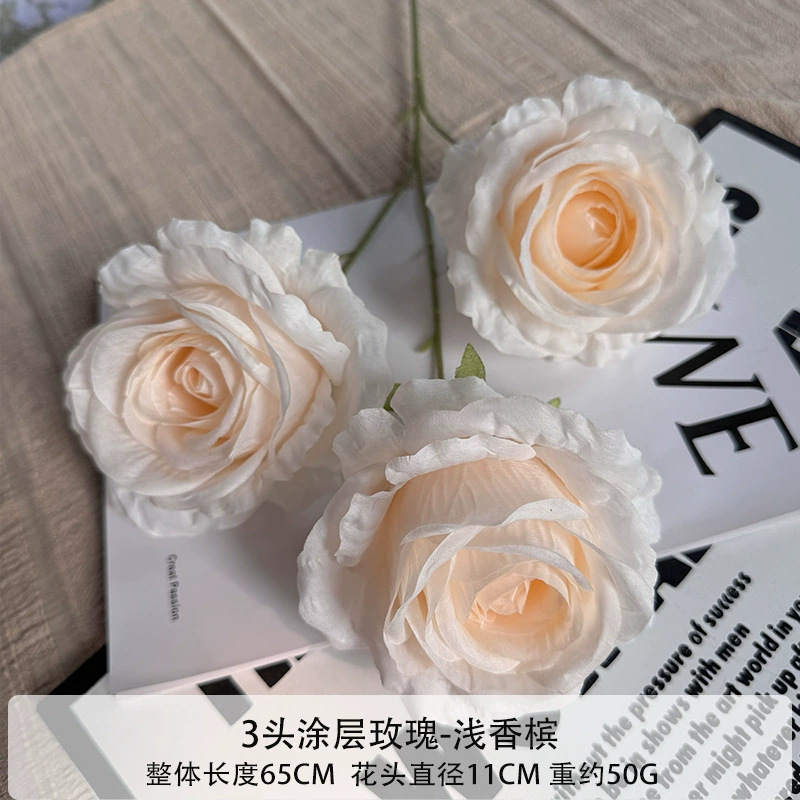 Champanhe Rose-Light revestido
