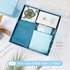 Dragon Boat Festival Small Gifts Summer Supreme Gift Set Company Sending Employee Welfare Opening Stores Celebrate Customers