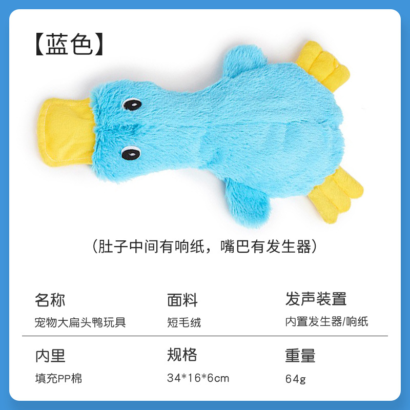 크고 파란 납작부리 오리