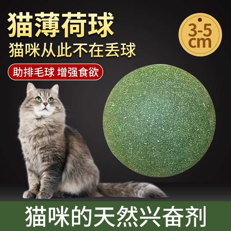 Игрушка для кошек Кошка Мяч с мятой Самообслуживания Волнение Угрожение Артефакт Устойчивый к укусам Коренные зубы Чистка Лизать Кошка Закуски