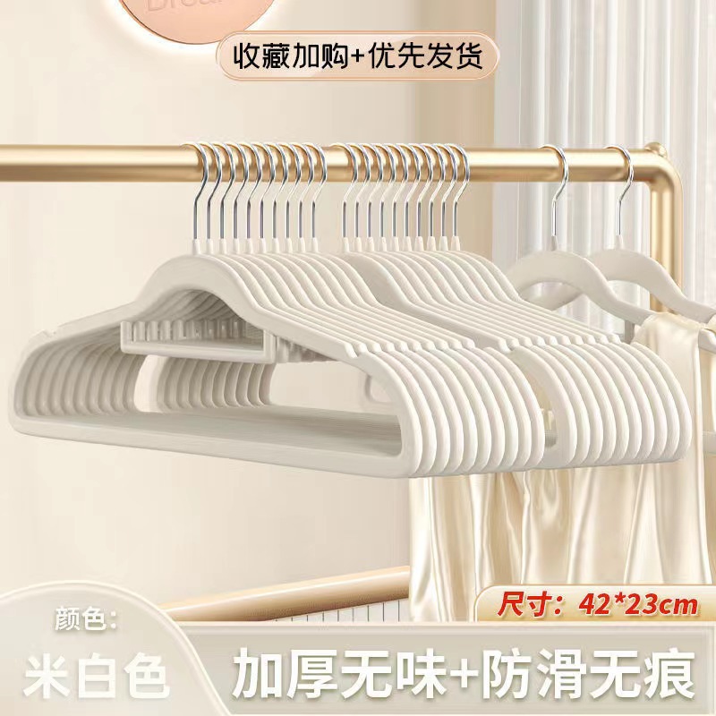 굴 화이트 [단일 팩]